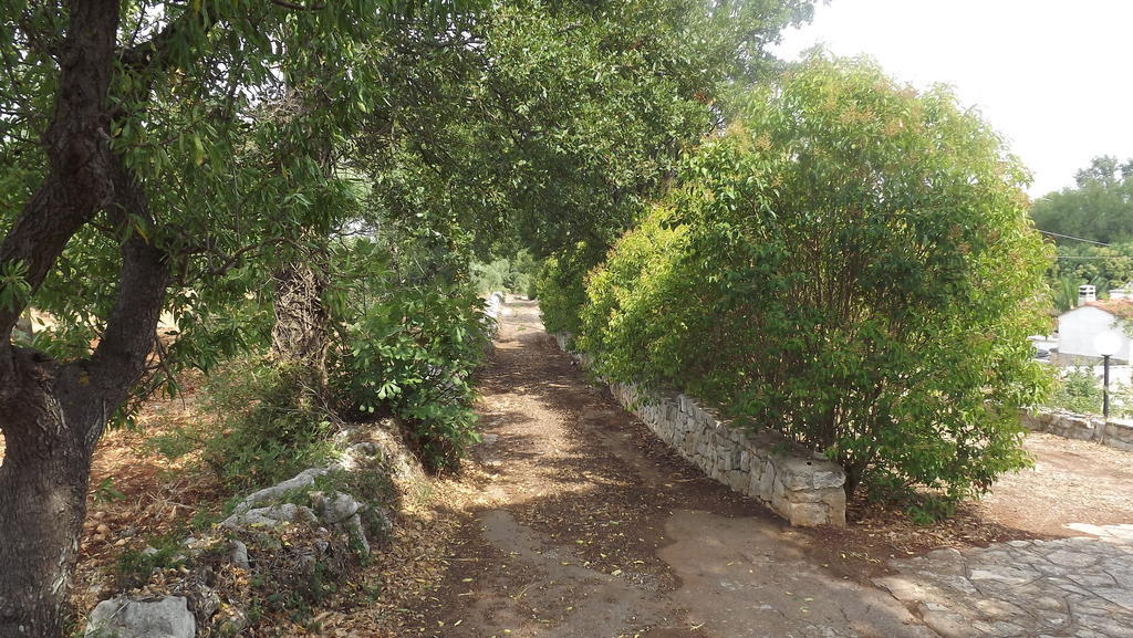 Villa Apollonia B&B โมโนโปลี ภายนอก รูปภาพ